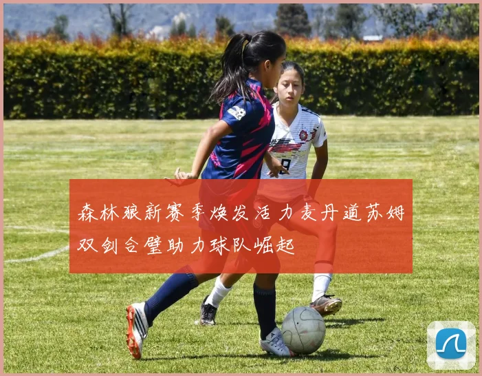 森林狼新赛季焕发活力麦丹道苏姆双剑合璧助力球队崛起